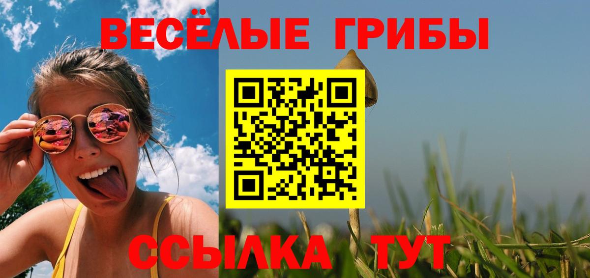 Псилоцибиновые грибы Psilocybine cubensis  Вход с VPN  Каменск-Шахтинский 