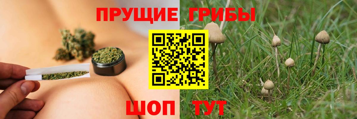 Псилоцибиновые грибы MAGIC MUSHROOMS Каменск-Шахтинский